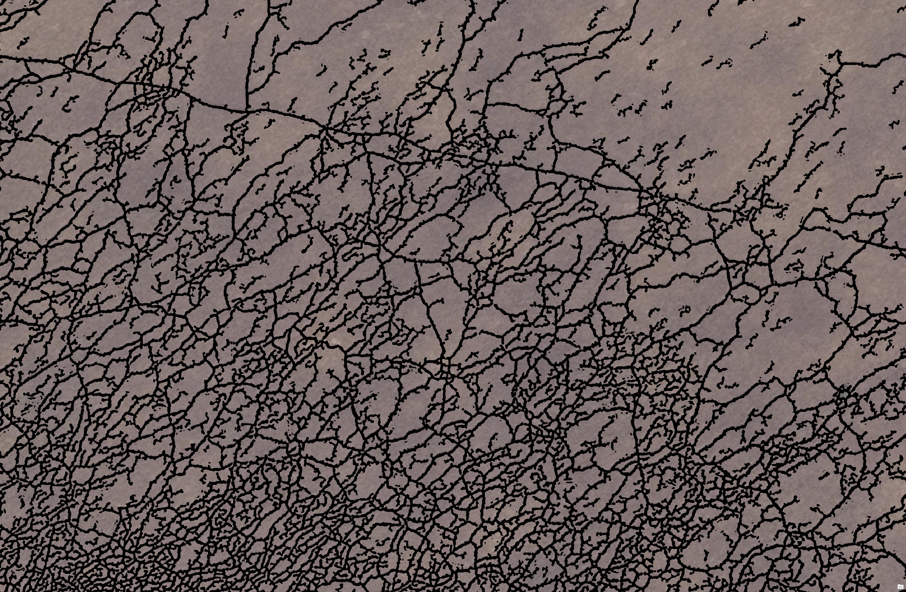 Raw extracted centerlines