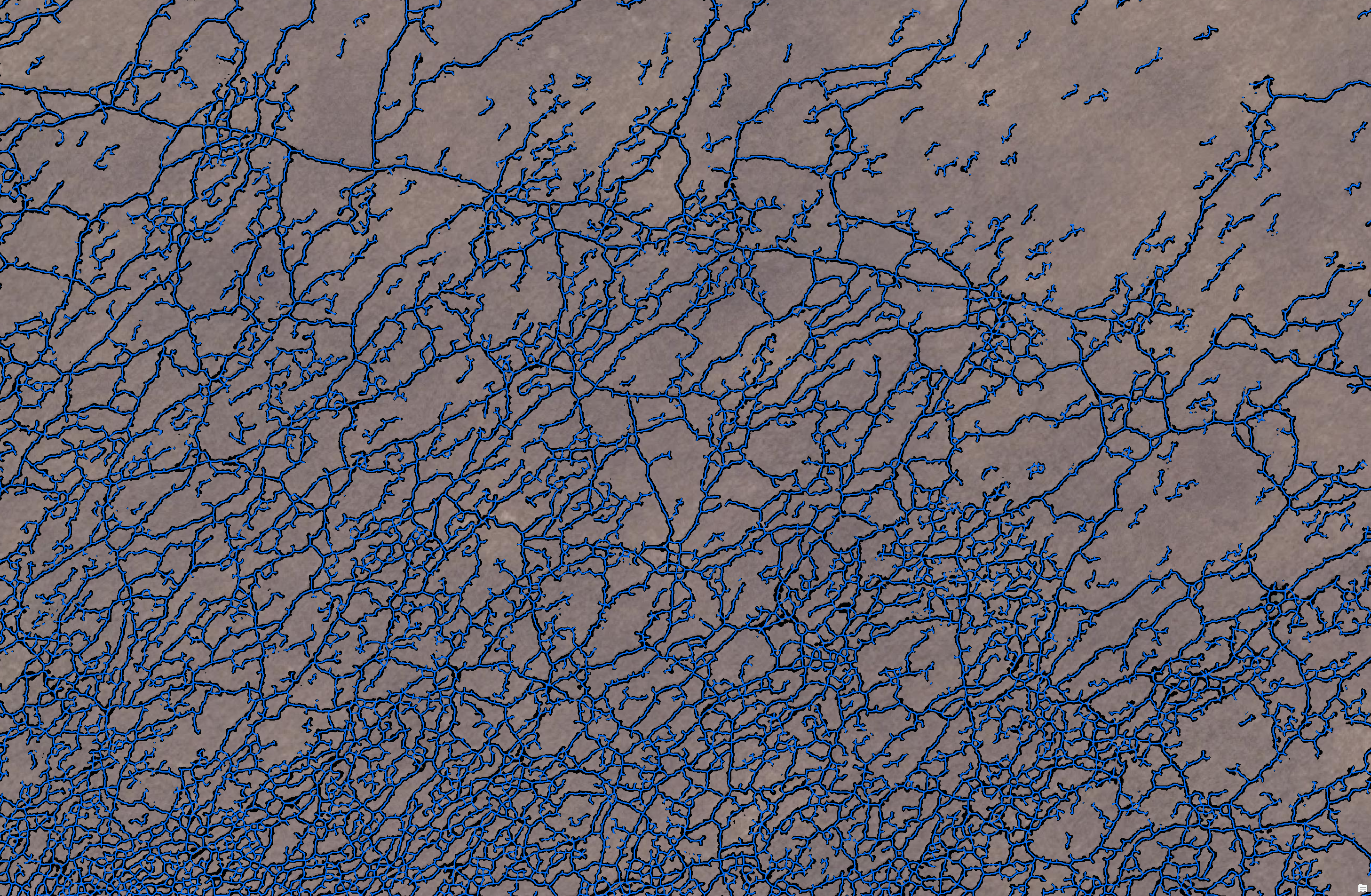 Centerlines rendered as vector lines