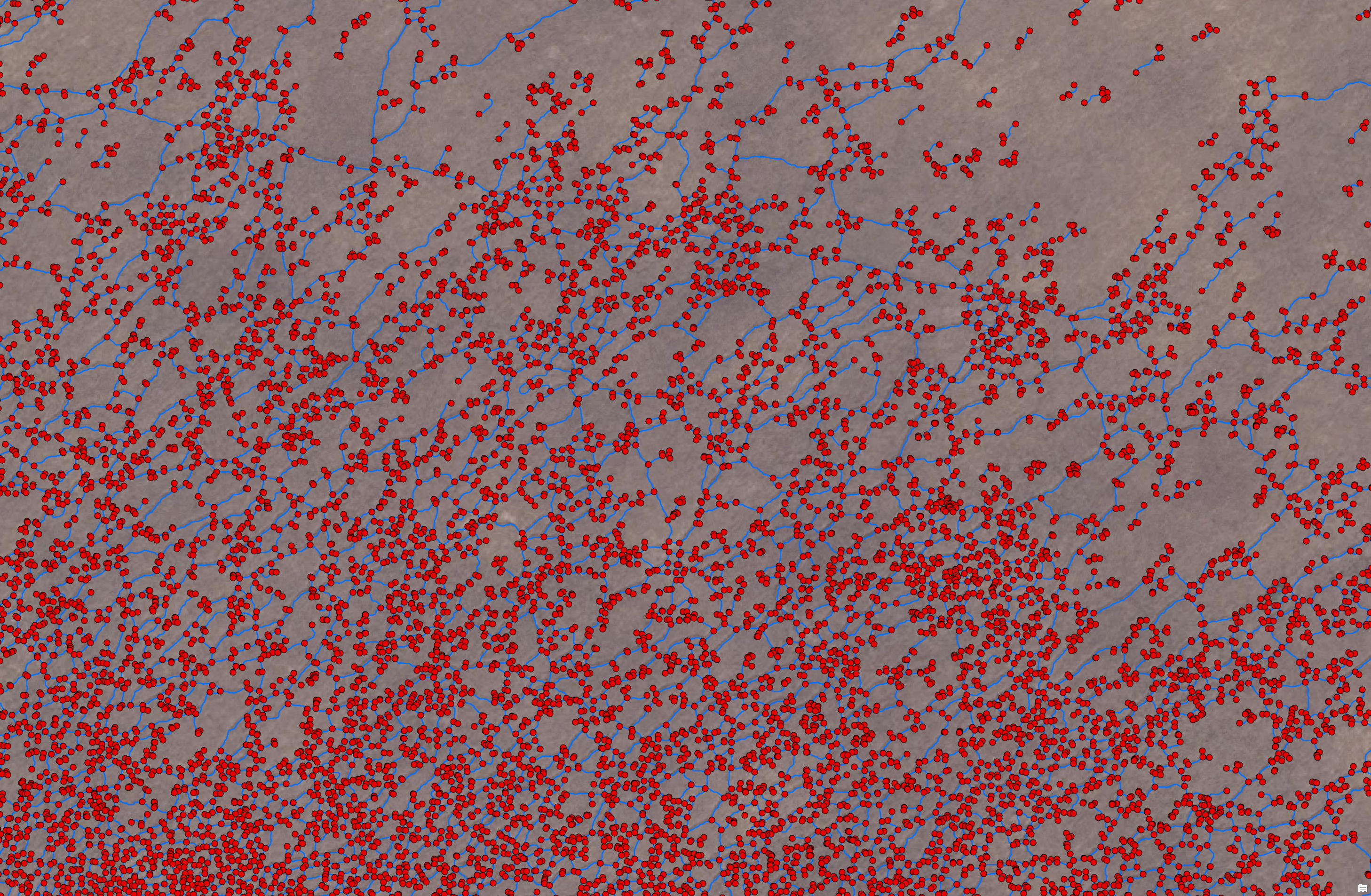 Raw graph with one node per skeleton pixel